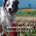 Wir machen eine kurze Pause – Ferienzeit vom 25.06.2025 bis 02.07.2025