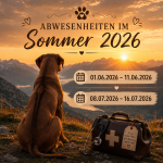 Abwesenheiten im Sommer 2026