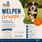 Welpengruppe, jeden Samstagvormittag in 3550 Langnau im Emmental