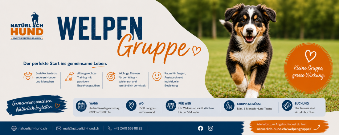 Welpengruppe