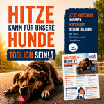 Natürlich-Hund Hitzeguide – kostenlos zum Download!