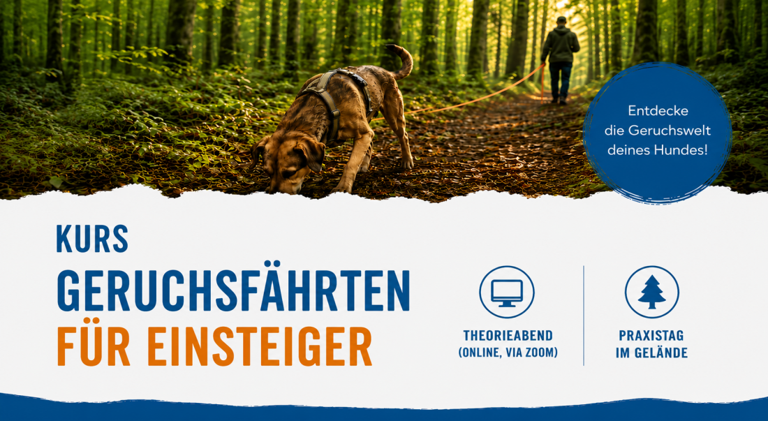 Geruchsfährten für Einsteiger (Kurs)