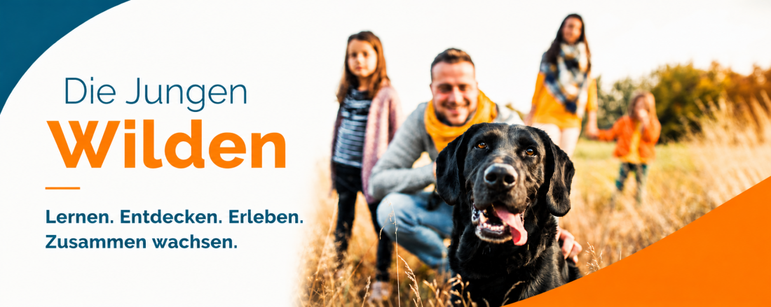 Die Jungen Wilden (Mini-Themengruppe)