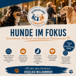 Kennst du schon unseren Natürlich-Hund Stammtisch „Hunde im Fokus“?