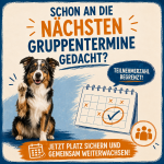 Wenige Plätze, grosse Nachfrage – jetzt Termin sichern!