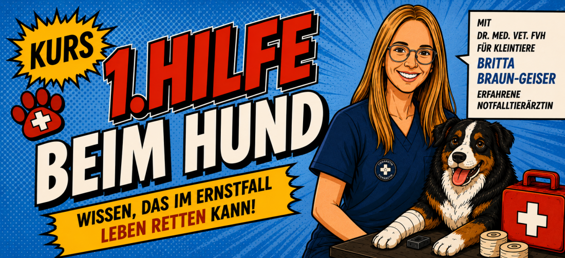 1. Hilfe beim Hund (Kurs)